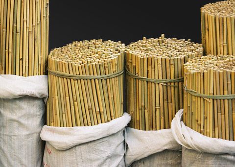 Bamboo Canes 11-13 x 900mm - 250/Bale