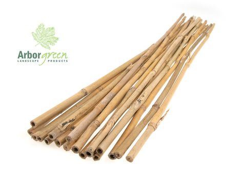 Bamboo Canes 10-12 x 1,800mm - 250/Bale