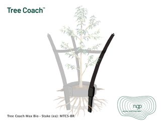 Tree Coach MAX - Stake (ea)