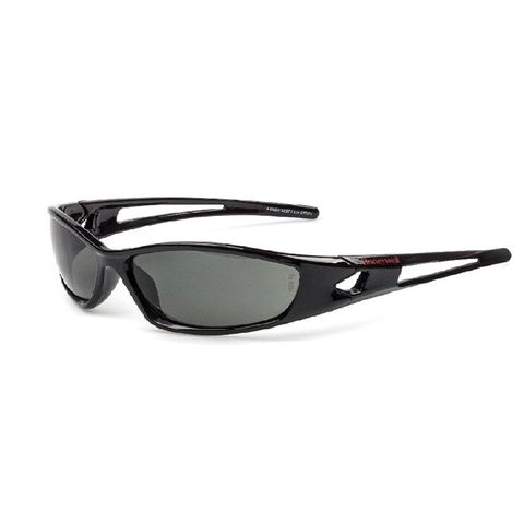 Honeywell SolarPro 2 Glasses