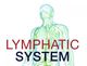 LYMPHATICS