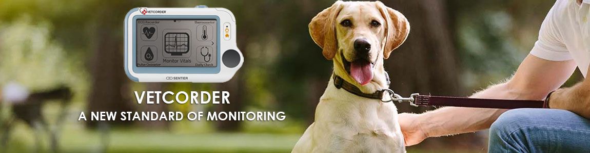 Dog sitting on lead with owner, image of the sentier vetcorder classic next to him 