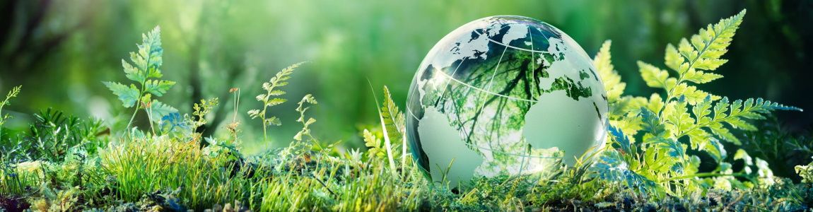 Glass sphere representing the earth pictured in a rainforest