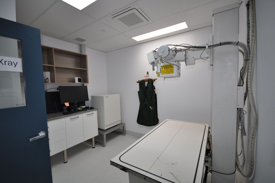 Rochester Veterinary Practice X-ray room with x-ray table, tubestand and generator