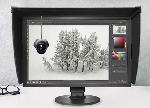 Eizo Coloredge CS2420 with hood and sensor