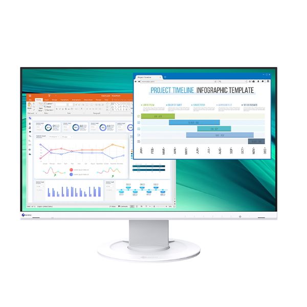 Eizo FlexScan EV2460 23.8" Business Monitor