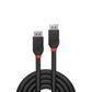 DisplayPort 1.2 Cable, Black Line, 3m