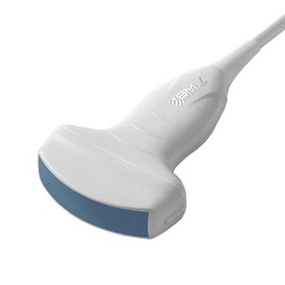 Vet Ultrasound Probes/Transducers