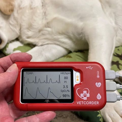 Sentier Vetcorder™ Pro Portable Patient Monitor