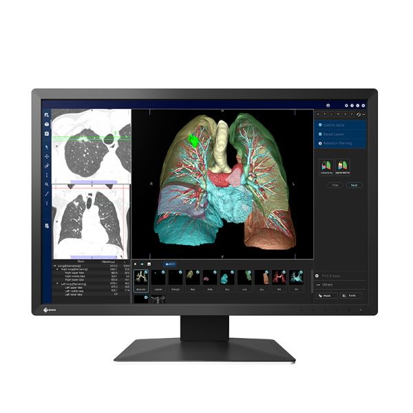 Eizo RadiForce MX243W 24.1" 2MP Clinical Review Monitor, Black