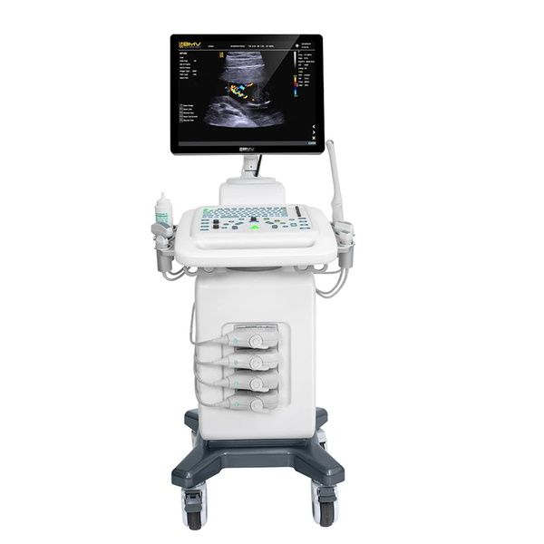 BMV BPU90 Trolley Color Doppler Ultrasound Scanner System