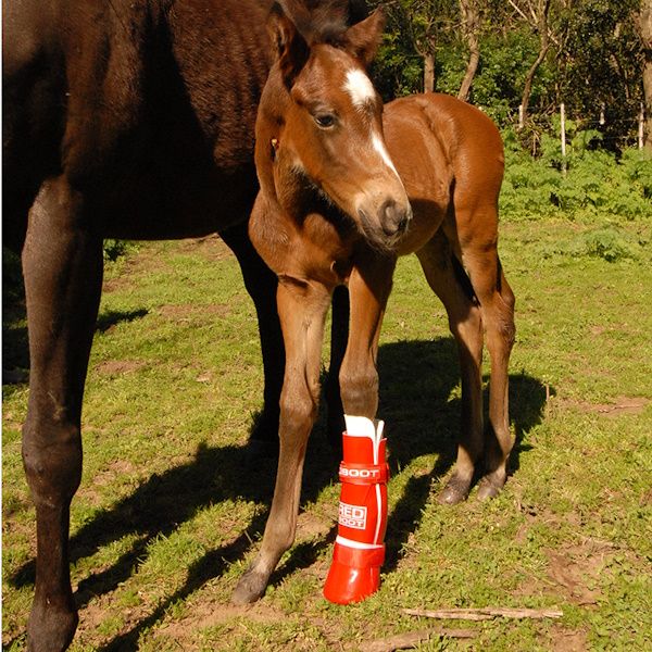 REDBOOT Corrective Foal Boot