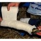 REDBOOT Corrective Foal Boot