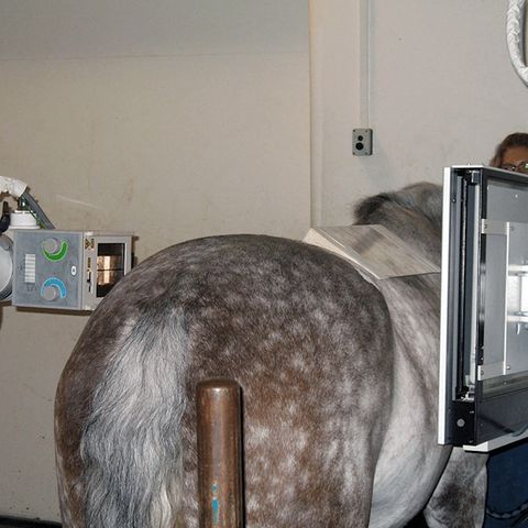 Podoblock Aluminium Wedge