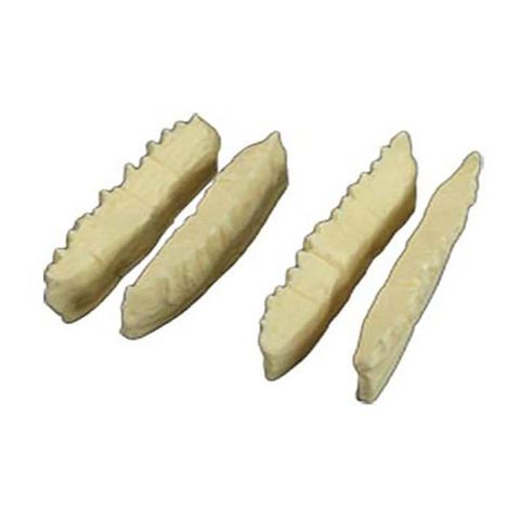 MAI Vet Dental Equine Skull Model | Replacement Teeth, Set of 4