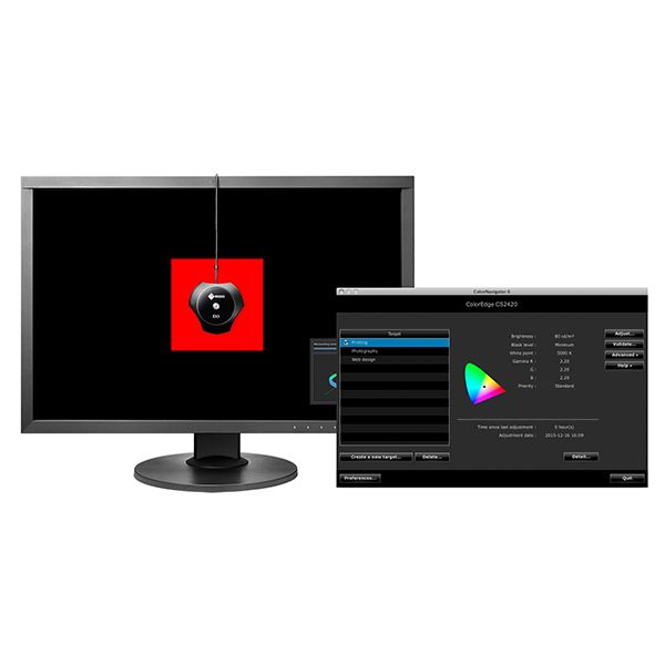 Eizo ColorEdge CS2420  24" Creative Monitor