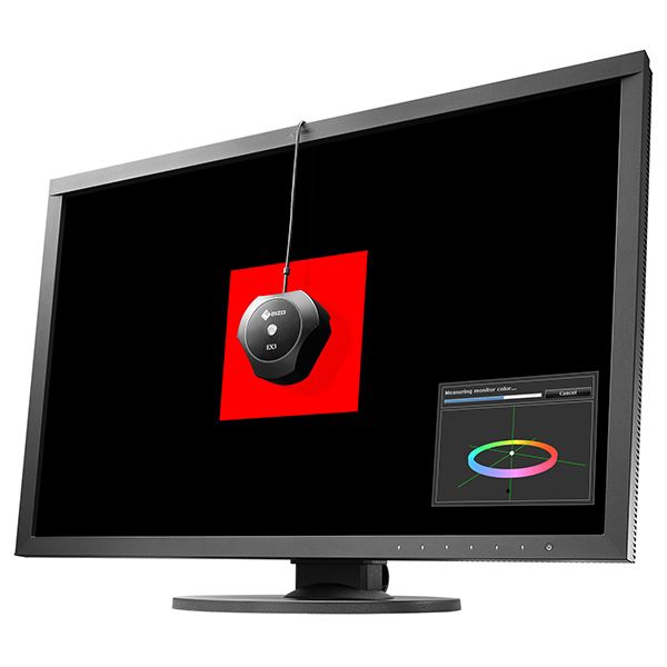 Eizo ColorEdge CS2420  24" Creative Monitor