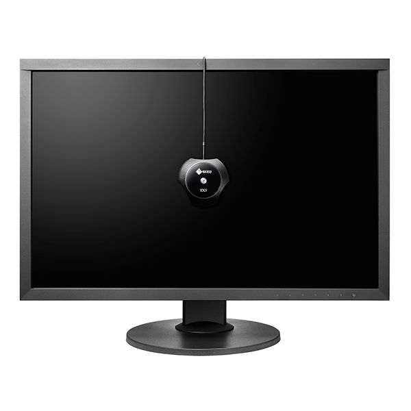 Eizo ColorEdge CS2420  24" Creative Monitor