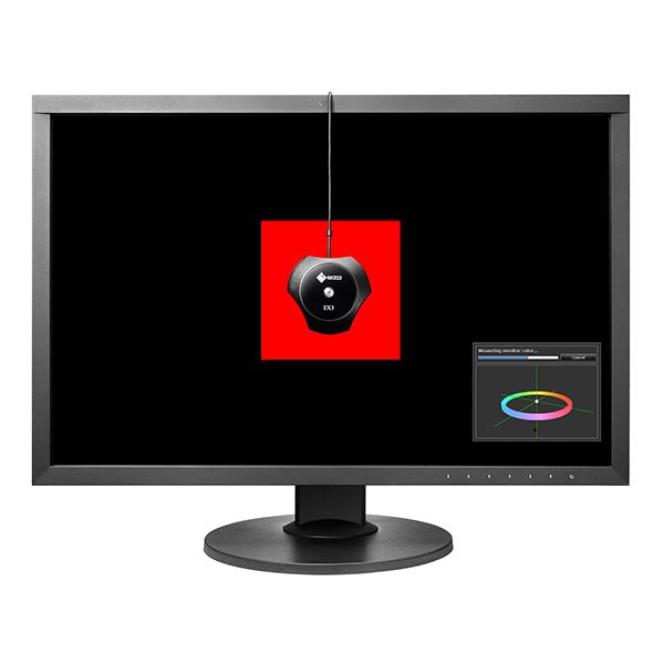 Eizo ColorEdge CS2420  24" Creative Monitor