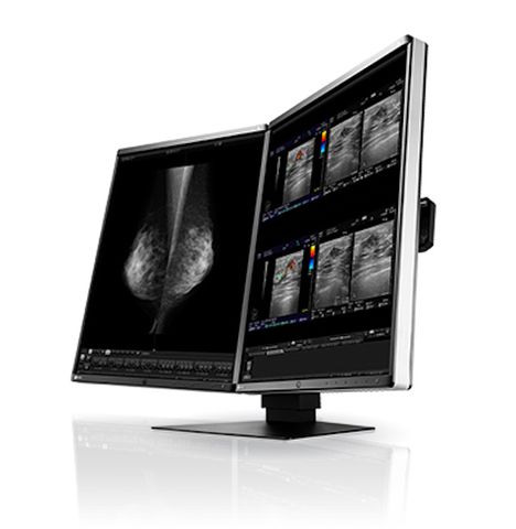 Eizo Radiforce RX560 21.3" 5MP Colour LCD Monitor