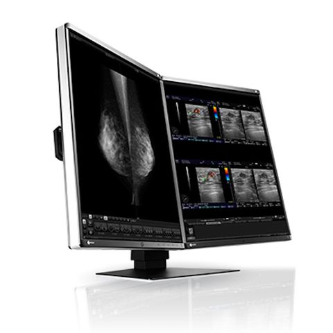 Eizo Radiforce RX560 21.3" 5MP Colour LCD Monitor