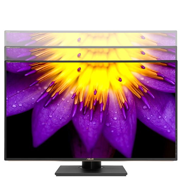 ASUS ProArt PA329C 32" 4K HDR Professional Monitor