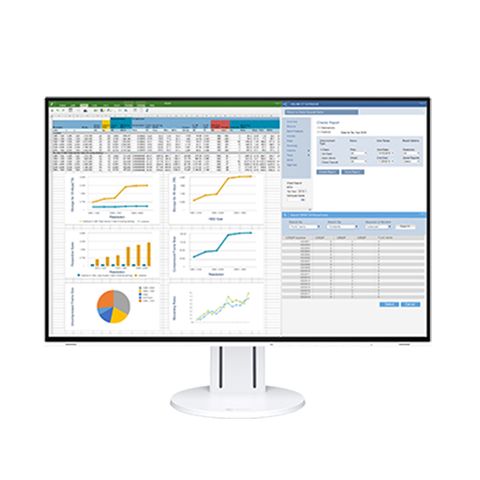 Eizo FlexScan EV2457 24.1" Business Monitor