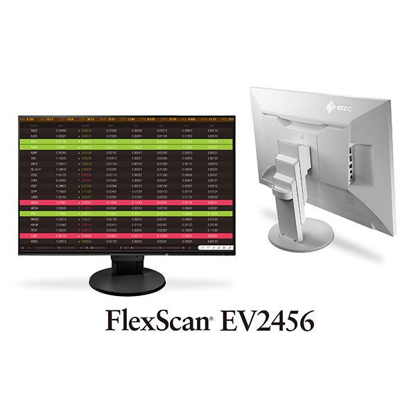Eizo FlexScan EV2456 24.1" Business Monitor