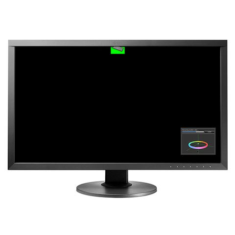Eizo ColorEdge CG2730 27"