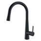 Celine Pull Out Kitchen Mixer 420 Black