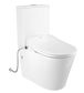 Radiant Bidet Spa Toilet Set