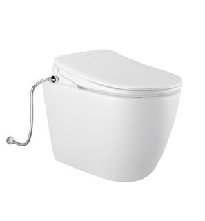 Voghera Bidet Spa Inwall Toilet Set