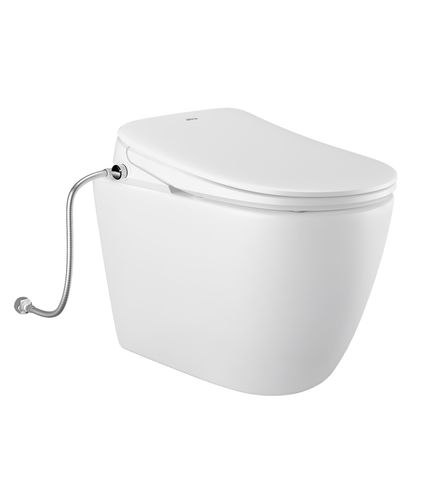 Voghera Bidet Spa Inwall Toilet Set (Button Sold Separately)