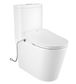 Feanza Bidet Spa Toilet Set