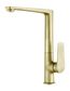 Zevio Kitchen Sink Mixer Brushed Gold