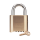 PADLOCKS