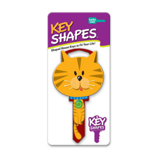 KEY SHAPE CAT KS1