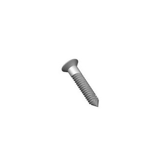 10mm x 6g   SECURISTAY (P388) SCREW