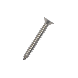 CAVILOCK LOCKCASE AND STRIKER SS SCREW KIT