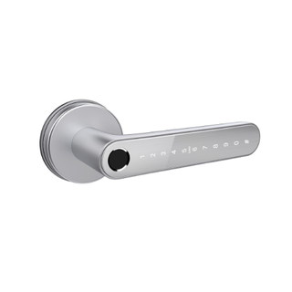 SMART DIGITAL LEVERSET SILVER