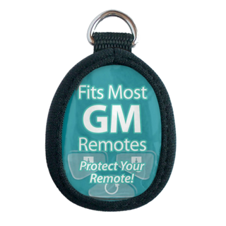 REMOTE PROTECTOR / REPAIR SKIN - GM