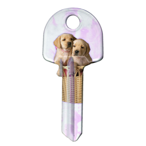 ARTKEY - PUPPY (KS1 / K1)