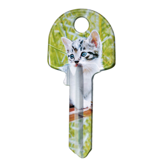 ARTKEY - CAT KITTEN (KS1/K1)