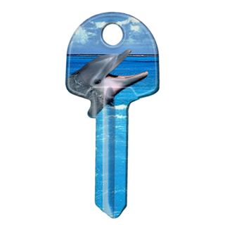 ARTKEY - DOLPHIN (KS1/K1)