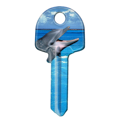 ARTKEY - DOLPHIN (KS1 / K1)