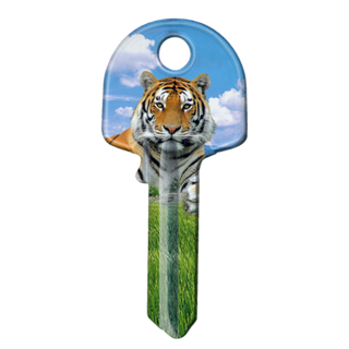 ARTKEY - TIGER (KS1 / K1)
