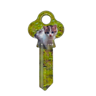ARTKEY - CAT KITTEN (LW4 / LKW5)