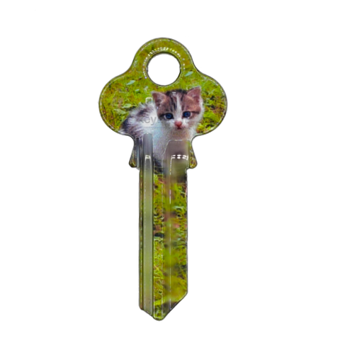 ARTKEY - CAT KITTEN (LW4 / LKW5)
