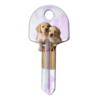 ARTKEY - PUPPY (LW4 / LKW5)