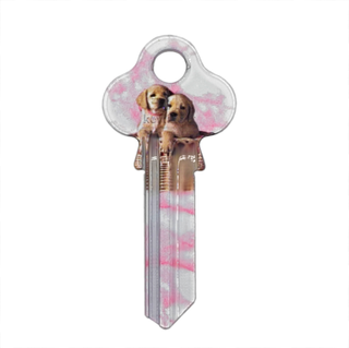 ARTKEY - PUPPY (LW4 / LKW5)